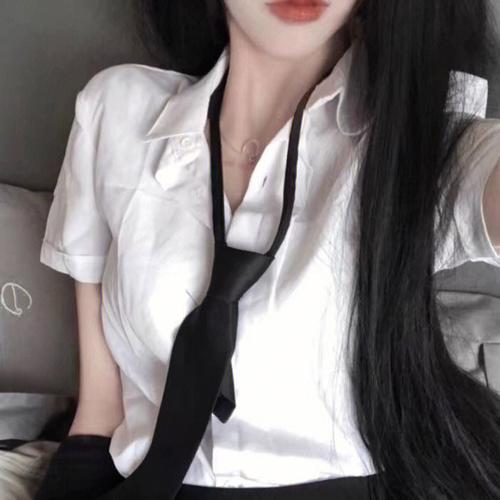 云开月明 电视剧 2026